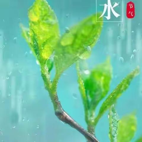 【二十四节气之雨水💦】雨水哒哒