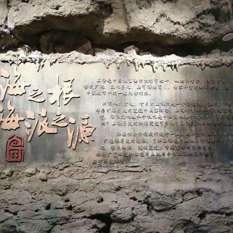 寻根广富林文化   坚守初心担使命
——老西门市场监督管理所团支部七月读书汇活动