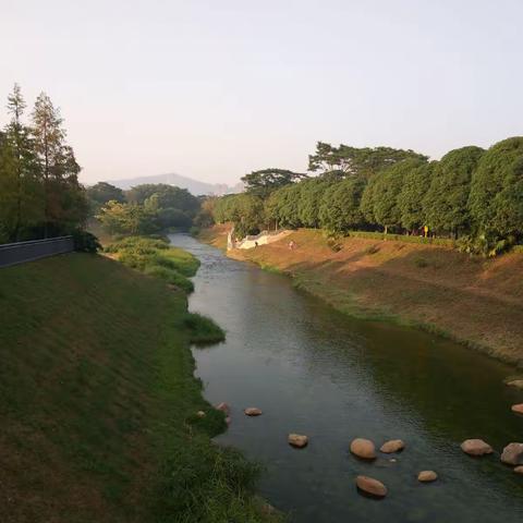 深圳市中心公园河畔之景