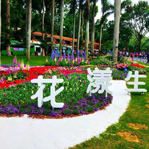 2019深圳国际花展