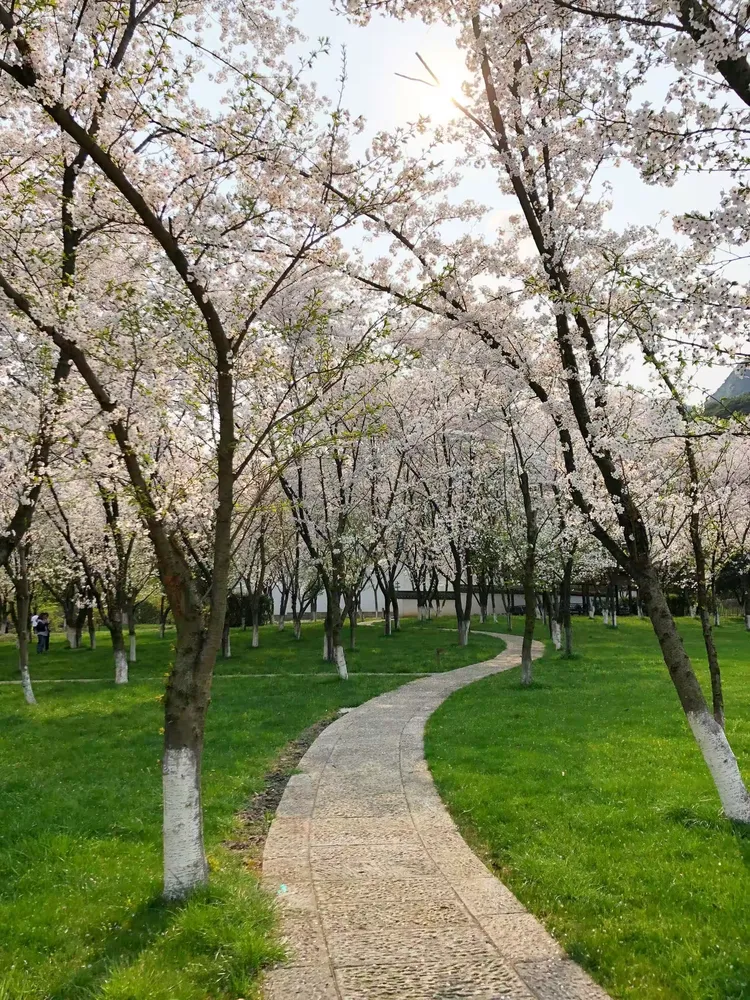 小班春天天气真好教案今日情况