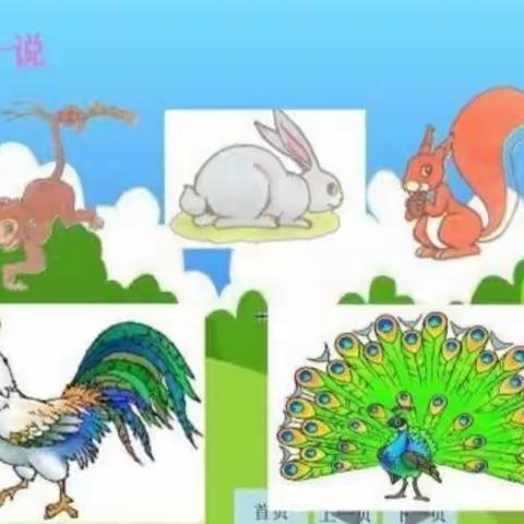 西安莲湖代代红幼儿园【小动物的尾巴】——启明班