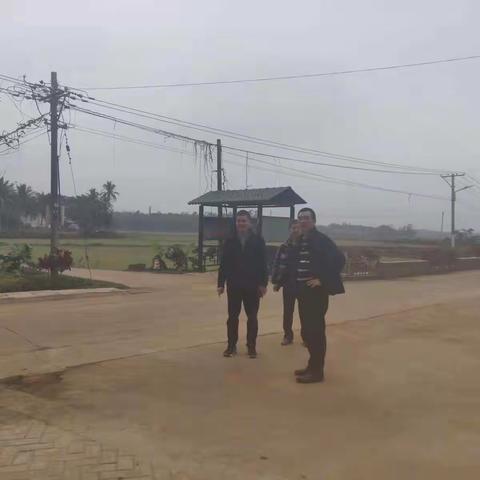 临高县农业农村局赴美丽乡村建设现场指导工作