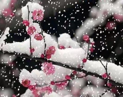 闫庄小学六二班剪纸——雪花精灵