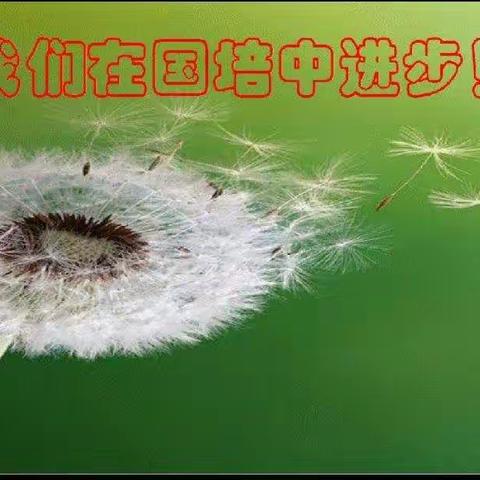 潜心研修  致力前行——镇平县安字营镇小学二班国培2.0第二次线下研修