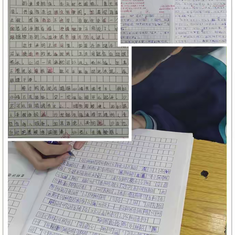 学用结合     乐在其中