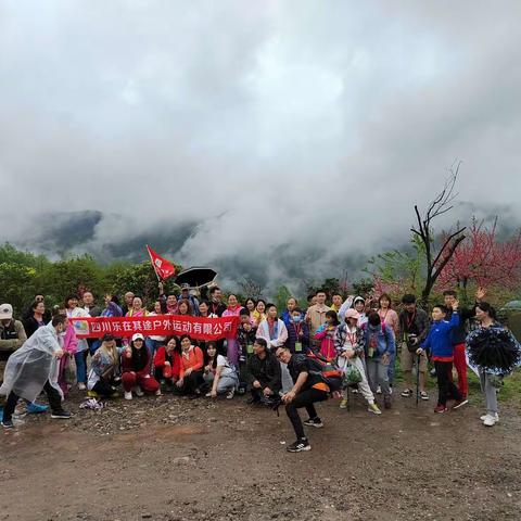 乐在其途3月20日大邑雾山∽在雨中漫步