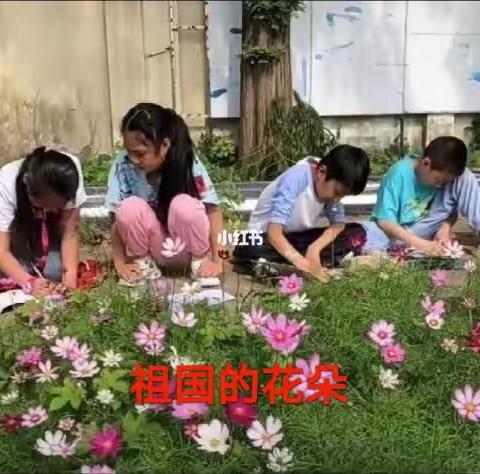 🌟创新学校南花校区 ，快乐学习每一天✨