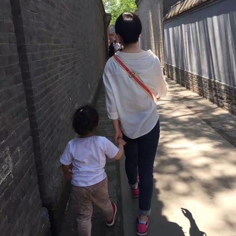 一日游