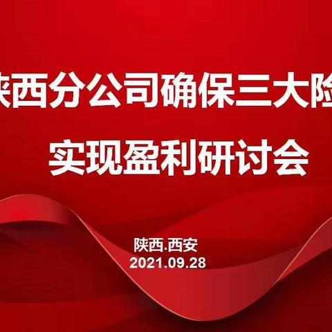 陕西分公司召开确保三大险类实现盈利研讨会