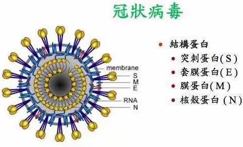 大胡庄小学师生齐努力 抗击疫情学习两不误