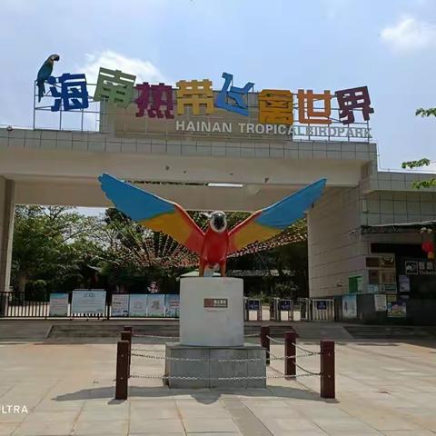 【海口名门幼儿园】2021春季亲子研学游邀请函