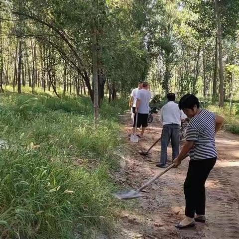 孙陶镇聚焦河道清理，持续完善河长制