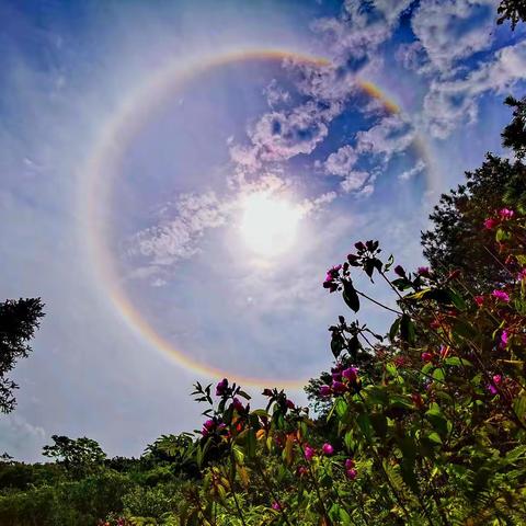 2022年5月4日青年节，山骄姐清风哥带队，登上了从化十登之一桂峰山，运气不错，看见了难得一见的日晕。