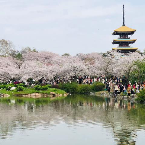 地理老师带你去旅行•①⓪——武汉