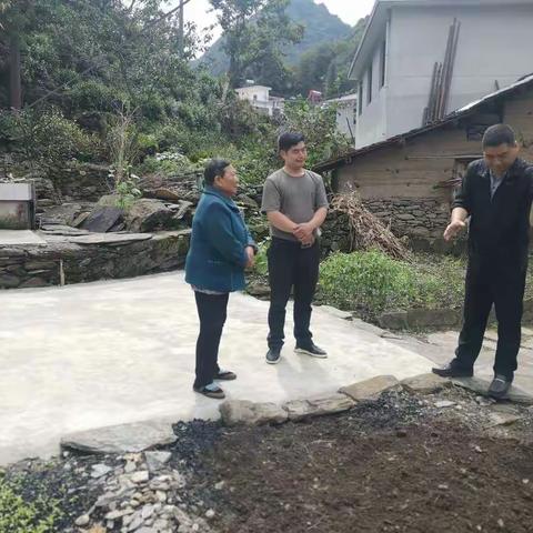 达仁镇人居环境整治暨厕所革命整村推进工作情况汇报