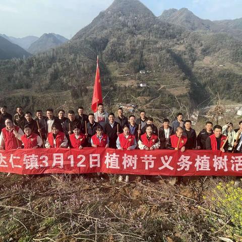 植树护绿，我们在行动