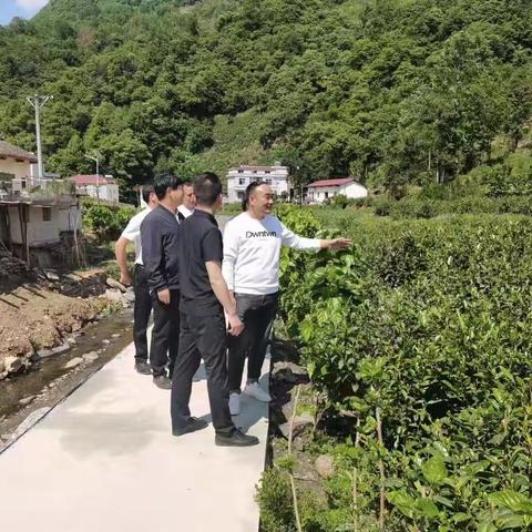 达仁镇“四个四”助推“三百四千”工程