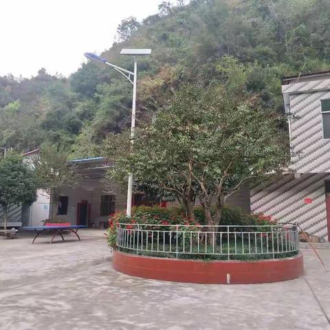 达仁镇人居环境整治暨厕所革命整村推进工作情况汇报