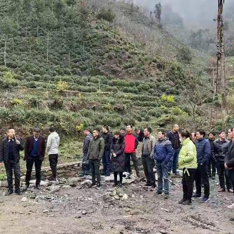 达仁镇召开11月份人居环境整治暨厕所革命现场观摩推进会