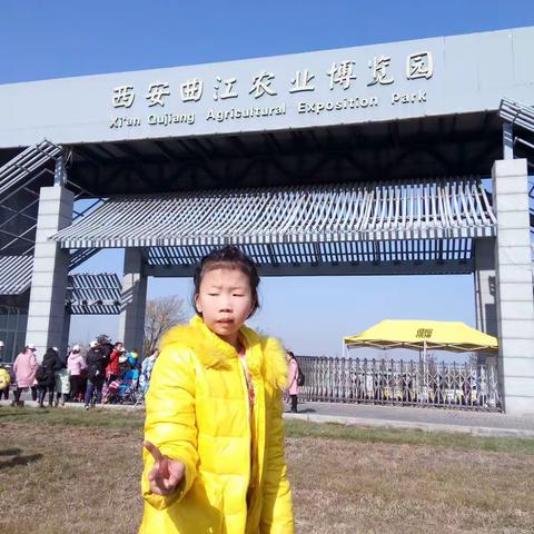 我和曲江农博园的约会