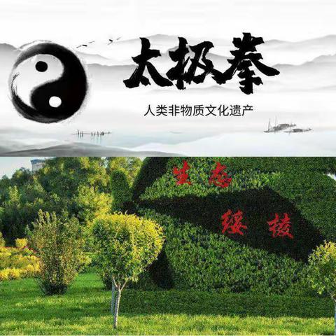 绥棱县武术协会热烈庆祝“中国太极拳申遗成功”