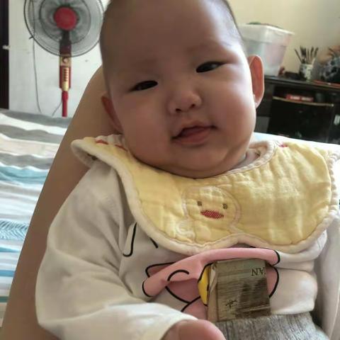 钟梓妍百天成长日记