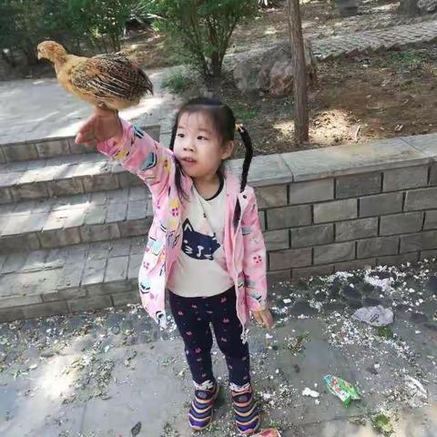 丹丹五一活动
