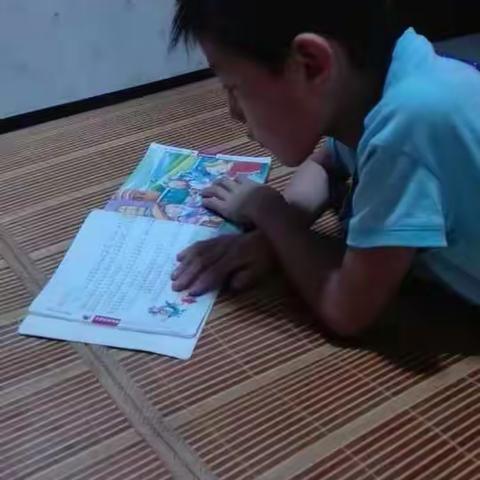 鸟欲高飞先振翅，人求上进先读书。