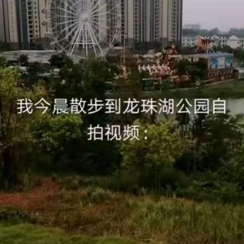 今晨散步在美丽的龙珠湖公园，我录制视频。传递给朋友们欣赏和聆听美妙音乐：