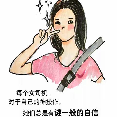 新手女司机的美丽日常