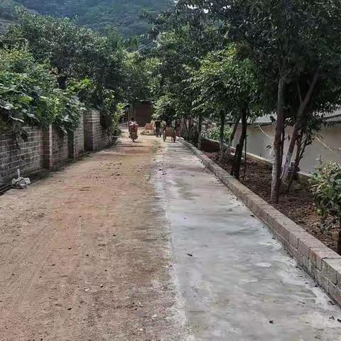 小街乡铁厂村：以“四级联创”推动村庄“小变化”，串起村民“大幸福”