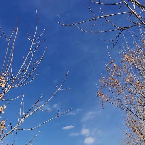 在马家坪的下午