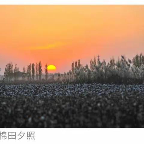 冬日暖阳迎名师送教，不忘初心探学校建设