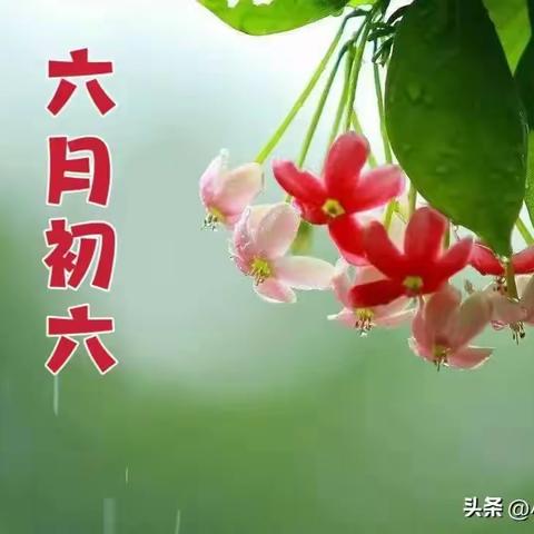 六月六，回乡偶记……