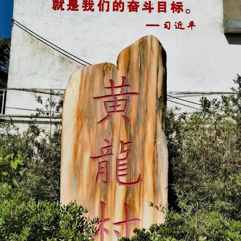 用心扑捉五月里的点滴
