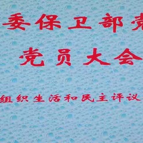 政法委保卫部召开2021年度党史学习教育专题组织生活会和民主评议党员工作会议