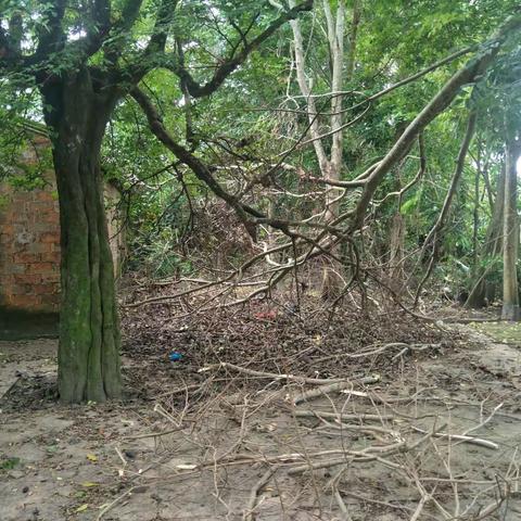 “山神”，你给我留下了什么礼物？