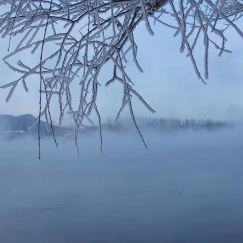 有雾的雪景才最美