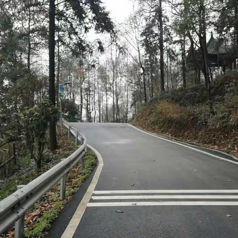 卜算子.青松