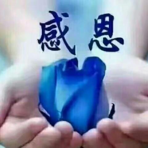 追思父亲