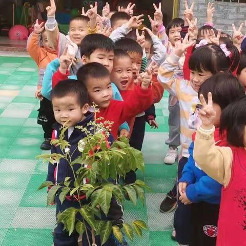 相逢植树节，爱在春天里——爱上幼儿园小一班植树活动！