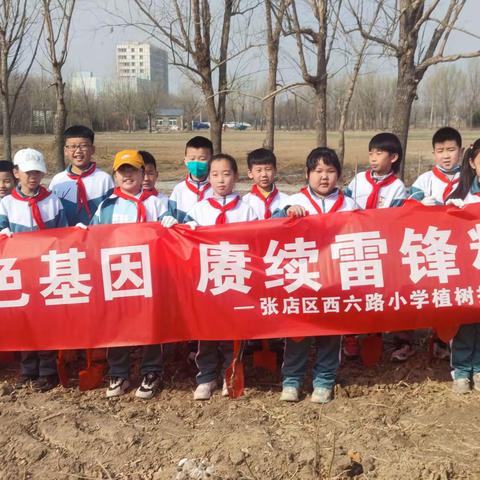 传承红色基因，赓续雷锋精神-张店区西六路小学三（2）中队