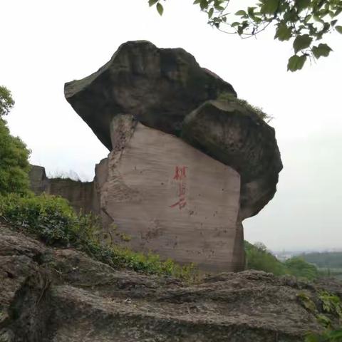 吼山之春