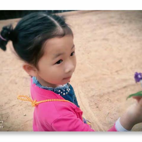 七彩云南之旅～