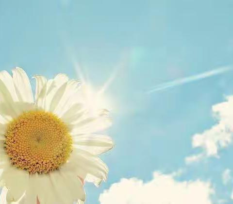 【平邑县思源实验学校】（一年级二班）“我爱阅读”第三期优秀朗读视频集锦