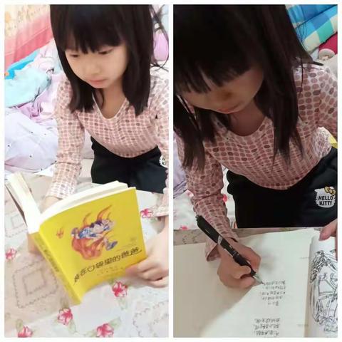 苹果的美篇