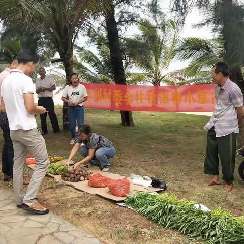 兰刘村委会开展“消费扶贫小集市”活动