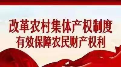 内黄县农村集体产权改革工作顺利推进