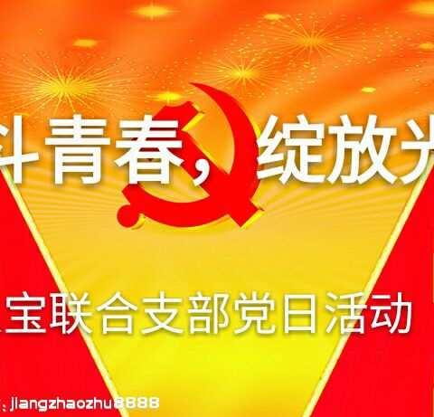 奋斗青春，绽放光芒 一一一八宝教育联合支部党日活动